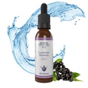 Begraven Treasure Lymfatische Harmonie druppels - 2oz, 30 porties, Lymfatische supplement met Clears, Burdock, Echinacea, en Astragalus