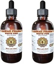 White Pine Liquid Extract, White Pine (Pinus Strobus) Bark Powder Tinctuur, Kruidensupplement, Hawaii Pharm, Made in USA, 2x4 fl.oz