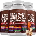 NIEUW AGE Leeuwen Mane paddo supplement met Turkije staart Reishi Cordyceps Chaga met Marshmallow Root 180 Tellen