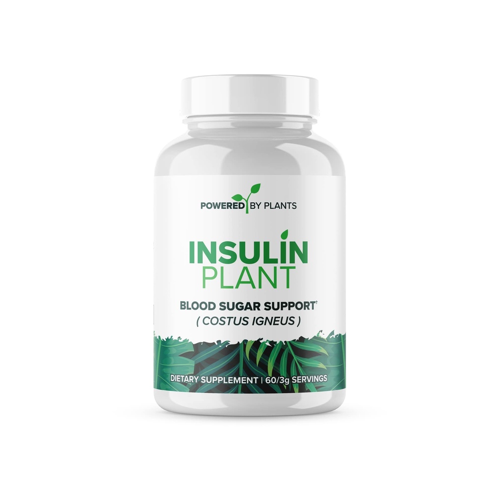 Insuline Plant Capsules - 3000mg Costus Igneus Leaf Powder with No Binders, Fillers & Gluten - Veganistisch, Niet GGO-supplementen voor vrouwen en mannen door Powered X Plants, 240 Capsules