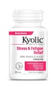 Kyolic Aged Knoflook Extract Formule 101, Stress en vermoeidheid Relief, 100 tabletten.