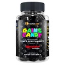 ALPHA LION Gains Candy, Supplement Pillen voor spierpomp & Blood Flow, Nitric Oxide Booster, Ondersteunt Mentale Focus, Gebruik dagelijks om te upgraden workout prestaties, 63 capsules (Nitrosigine)