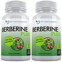 Aangeboden supplementen Berberine Plus 1200mg per portie - 120 Veggie Capsules Royal Jelly (120 Telling (verpakking 2))