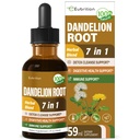 Dandelion Root Extract Drops, Diente de Leon Organico Hierba, Dandelion Supplement Formule w/Milk Thistle Turmeric voor Detox Cleanse, Digestie & Immune Support, Alcoholvrije Tinctuur.