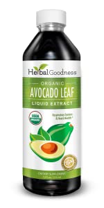 Avocado Leaf Extract Liquid Supplement - Avocado Fruit, Hoja de Aguacate, Avocado Bladeren voor Vitaminen, Dieetvezels, Huid en Immuun Ondersteuning, Digestieve Gezondheid - 12oz Kruidengoed