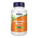 NOW Foods Supplements, Hawthorn Berry 540 mg, Free Radical Scavenger*, Herbal Supplement, 100 Veg Capsules