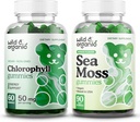 Wilde & Organische Chlorofyl Gummies & Sea Moss Gummies