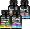 Sea Moss Black Seed Oil Ashwagandha Gember Capsules,Verbeteren met Kurkuma en Gember Supplement Bladderwrack Burdock Root Biologische,ACV Black Seed Oil - 240 Sea Moss Capsules