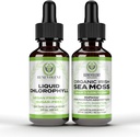 Benevolent Chlorofyl Liquid Drops + Irish Sea Moss Drops 2oz, 4 maand supply Liquid Chlorofyl Supplement voor interne deodorizer & Radiant Skin