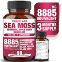 All-in-1 8885mg Hoogste Potency Sea Moss, Black Seed, Ashwagandha, Kurkuma, Apple Cider Vinegar, Dandelion met Vlierbessen, Vitamine C & D3 - Immune, Energy Support Supplement - 90 Vegan Capsules