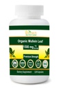 Biologische Mullein Leaf 1500 mg Serveer 120 plantaardige capsules Made in USA