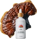 Rainbo - Reishi Mushroom Tinctuur - Dual Extract Mushroom Supplement - Immune Support, Mood, Slaap, Liquid Reishi Supplement, Vegan, Niet GGO, 3.4 fl oz