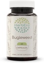 HerbEra Bugleweed 60 capsules, 400 mg, Gemaakt met Bugleweed (Lycopus Virginicus) Gedroogd Kruiden (60 capsules)