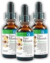 Morter Trace Minerals in Collective Suspension (3 Pack) Morter HealthSysteem Best Process Allyne