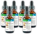 Morter Trace Minerals in Collective Suspension (6 Pack) Morter HealthSysteem Best Process Allyne