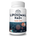 1600 mg Liposomal NAD Supplement, 98% Pure NAD+ Supplement, Superior Absorptie, Alternatief voor Nicotinamide Riboside of NADH voor Boost NAD+ voor Veroudering Verdediging, Energie, Duurzaamheid, 60 Softgels