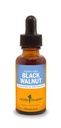 Herb Pharm Black Walnut Liquid Extract voor reiniging en ontgiften - 1 Ounce