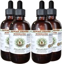 Echinacea Alcoholvrije Liquid Extract, Echinacea (Echinacea Angustifolia) Gedroogde Wortel Glycerite Hawaii Pharm Natural Kruidensupplement 4x4 oz