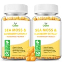 Sea Moss Gummies for Adults and Kids, 2000mg Raw Seamoss, Bladderwrack, Burdock Root, Elderberry, Pepper, Vitamin C & D3, Zinc Supports Immune System & Boost Energy (2-Pack)