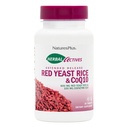 NaturesPlus Herbal Actives Red Gist Rice 600mg & CoQ10 100mg, Extended Release - 30 Vegan tabletten - Maximum Potency Supplement, Antioxidant - Vegetarisch, Glutenvrij - 30 porties