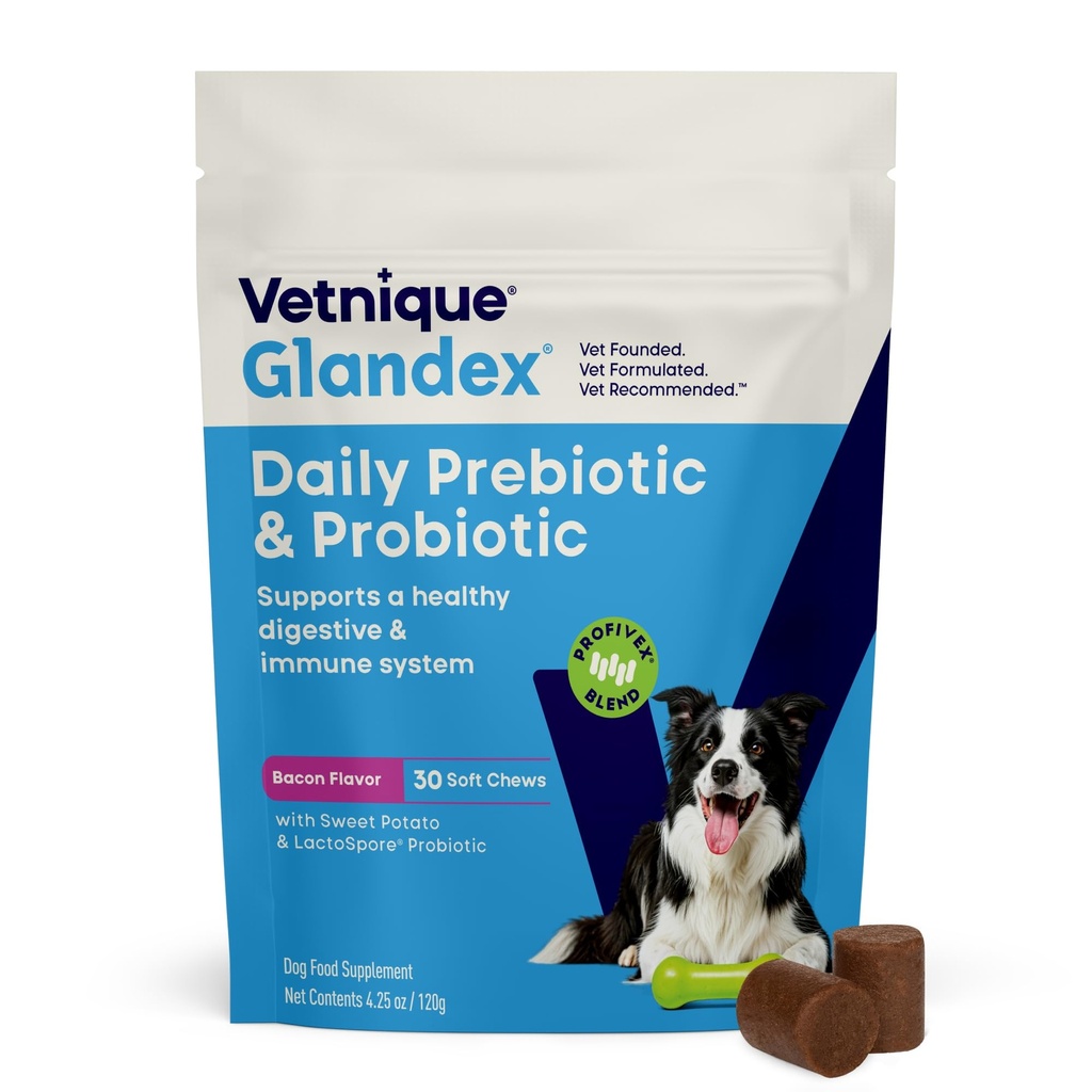 Vetnique Glandex Daily Probiotica voor honden met prebiotica ter ondersteuning van Gut Health met vezel en spijsverteringsenzymen, Probiotische Kauwen of Poeders (30ct Kauwen, Bacon Kauwen)