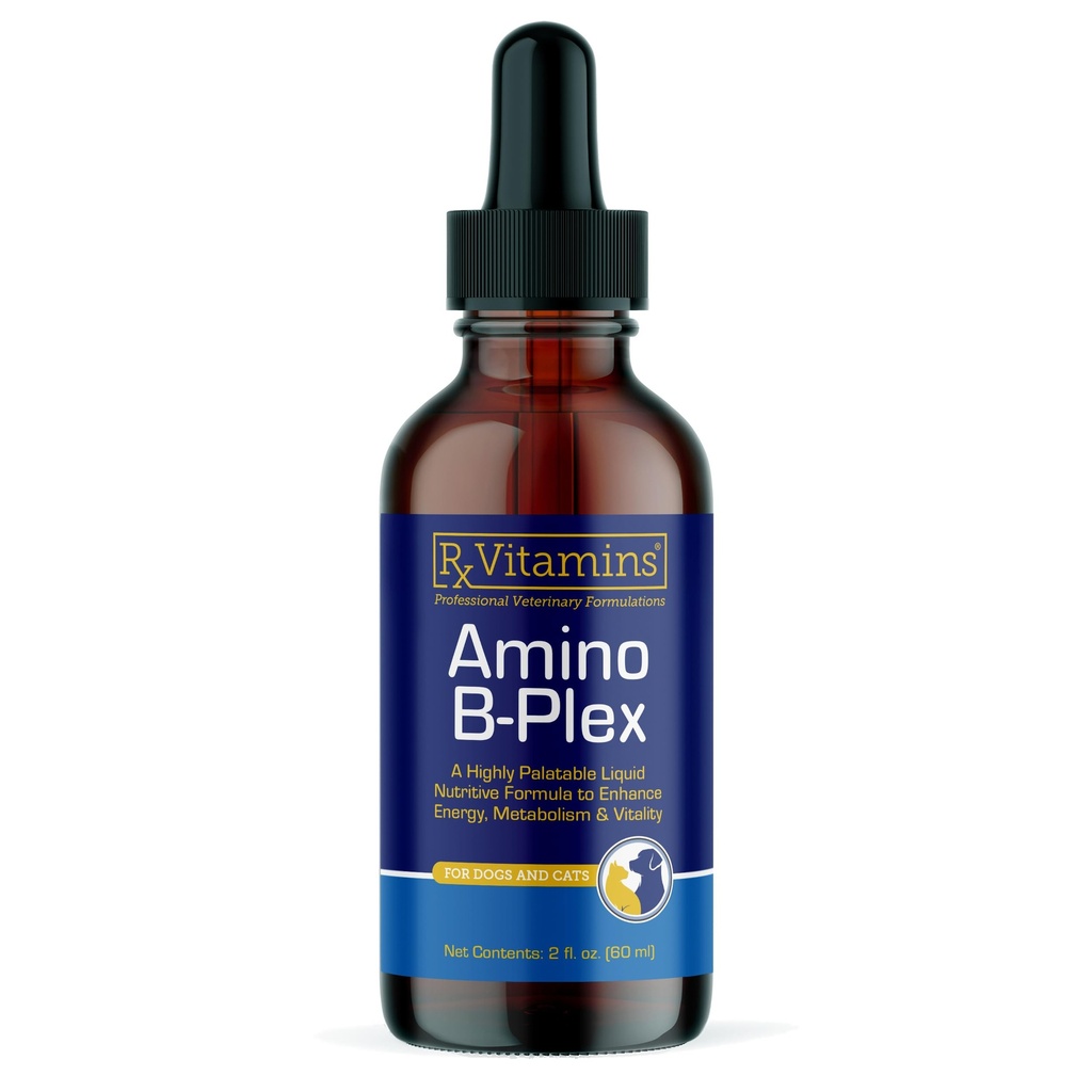 Rx Vitaminen Amino B Plex Cat & Hond Supplement - Vitamine B Complex Liquid Plus Aminozuren voor honden en katten - Appetite Booster en Weight Gainer Cat & Hond Vitaminen - 2 oz