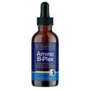 Rx Vitaminen Amino B Plex Cat & Hond Supplement - Vitamine B Complex Liquid Plus Aminozuren voor honden en katten - Appetite Booster en Weight Gainer Cat & Hond Vitaminen - 2 oz