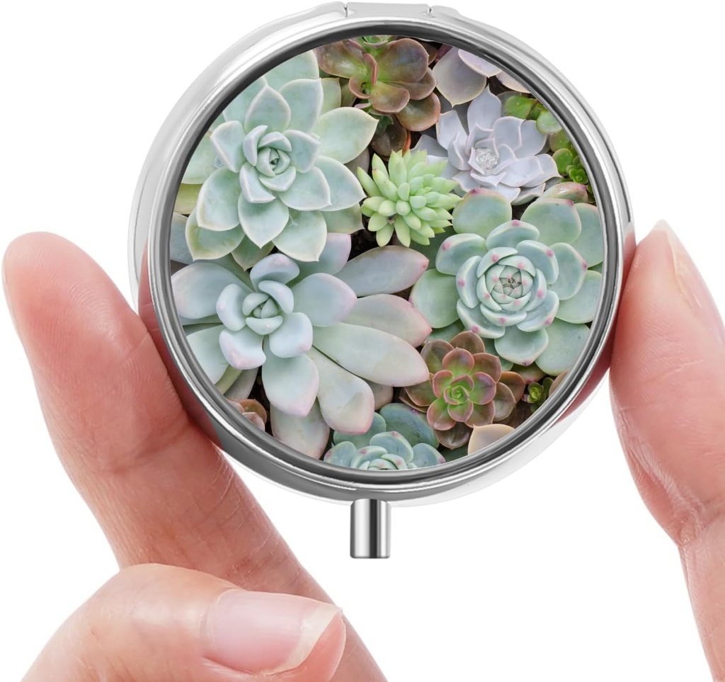Mini Pillendoos, Kleine Pillendoos, Draagbare Pillendoos, Leuke PillenOrganisator voor Vitaminen, Medicijnen, Visolie en Supplementen (Succulent)