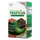 LABO Nutrition Brazilian Green Propolis Ultimate - Bevat >7% of 28mg per portie Artepilline C & >5% Flavonoïden, voor Immune & Brain Support, Natural, High Concentration & Premium, 60 Veg Capsules
