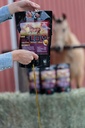 Vlas Flow 3 L, 100% Vlaszaadolie voor paarden, rijk aan Omega-3 en Omega-6 vetzuren