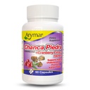 Arymar Chanca Piedra with Cranberry – Herbal Support for Urinary Wellness & Kidney Function (60 Capsules)