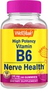 WellYeah High Potency Vitamin B6 Gummies - Promotes Nerve Health, Cognitive Function, Mood Regulation, Immune Support, and Cardiovascular Health - Vegan, Non-GMO, Gluten-Free - 60 Count