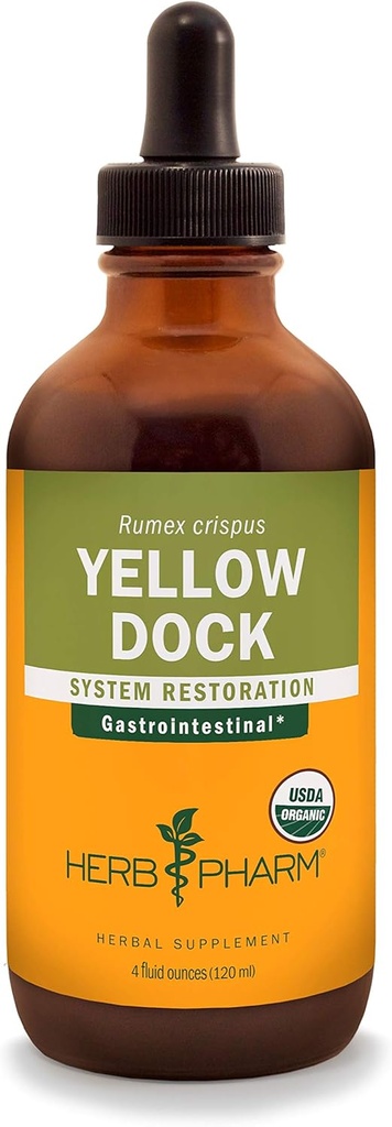 Herb Pharm Yellow Dock Liquid Extract voor spijsverteringssysteem ondersteuning - 4 Ounce