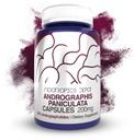 Andrographis paniculata Capsules 200mg 