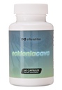 Ecklonia Cava Extract - 99% Zuiverheid - 50% Polyfenolen - 320mg per dagelijkse portie, 60 Capsules