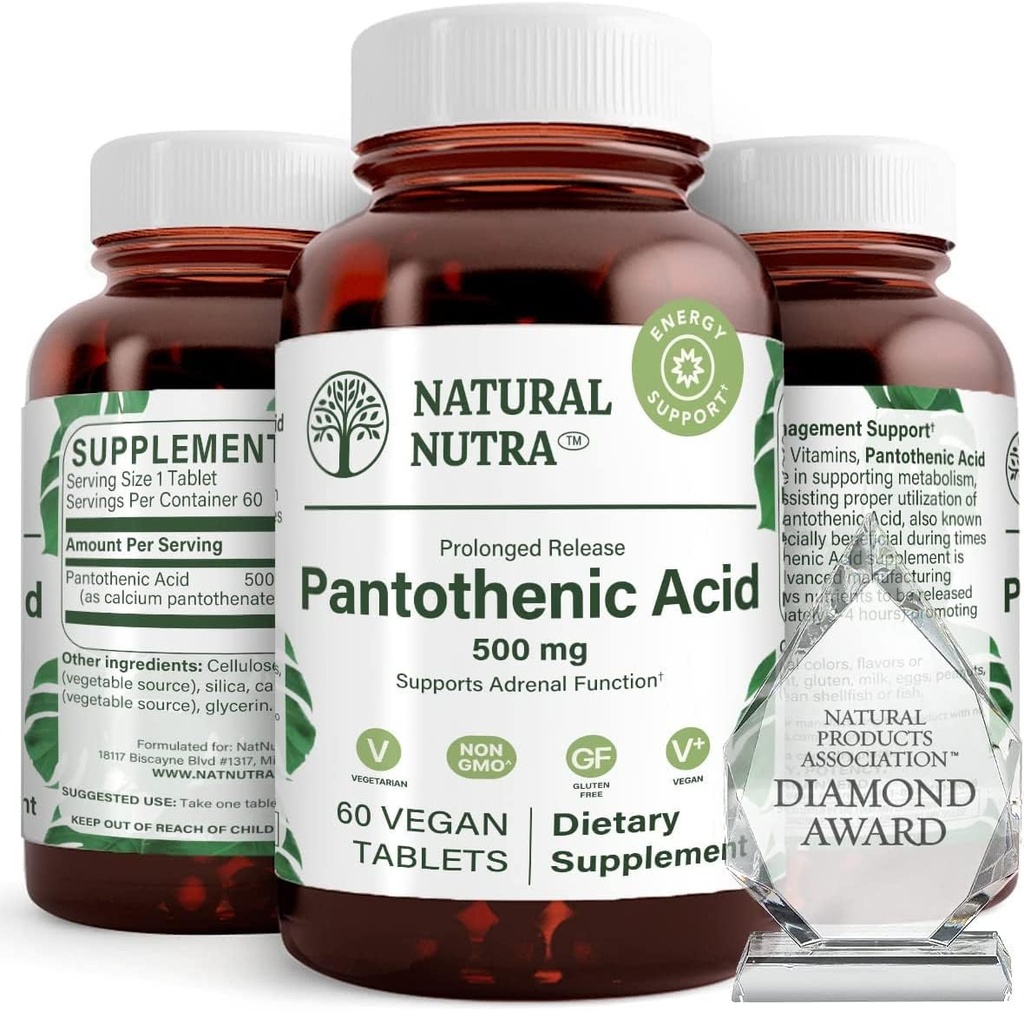 Natural Nutra Time Release Pantothenic Acid 500 mg, Vitamine B5 supplement helpt omlaag vet en koolhydraten, Metabolisme en energie, verbeteren spiergezondheid, 60 Vegetarische tabletten (3 Pack)