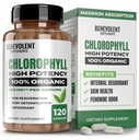 Benevolent Chlorofyl Capsules 350mg - 100% Natural + Ultra Chlorofyl 20x Potentie Concentratie voor Energie Boost, Immuun Ondersteuning, Interne Deodorant, Huidgezondheid, Non-GMO, 120 Capsules