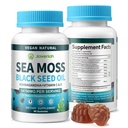 Vegan Ashwagandha Sea Moss Gummies - Black Seed Oil, vitamine C&D voor Immune Support, Digestief, Antioxidant 13 in 1 Bundel, Sea Moss Chlorofyl Advanced Strength Formula 2Pack 120 Gummies