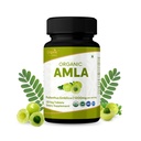 ORGANIC SPREE Amla Tablets - 1200 mg per Serving - Indian Gooseberry, Phyllanthus Emblica Supplement, Rich in Vitamin C & Supports Immune Health,120 Tablets* - GMP and Organic Certified