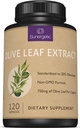 Premium Olive Leaf Extract Capsules Gestandaardiseerd tot 20% Oleuropein Super Strength Olive Leaf Exacte Supplement Ondersteunt Immuun Systeem & Cardiovasculaire Gezondheid 750 mg Per capsule 120 capsules