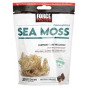 Force Factor Sea Moss Kauwt een dagelijkse Wellness & Antioxidant Steun een gezouten Karamel (30 Zachte Kauwen)