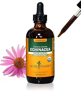 Herb Pharm Certified Organic Echinacea Root Liquid Extract for Immuun System Support, Alcoholvrije Glycerite, 4 Ounce