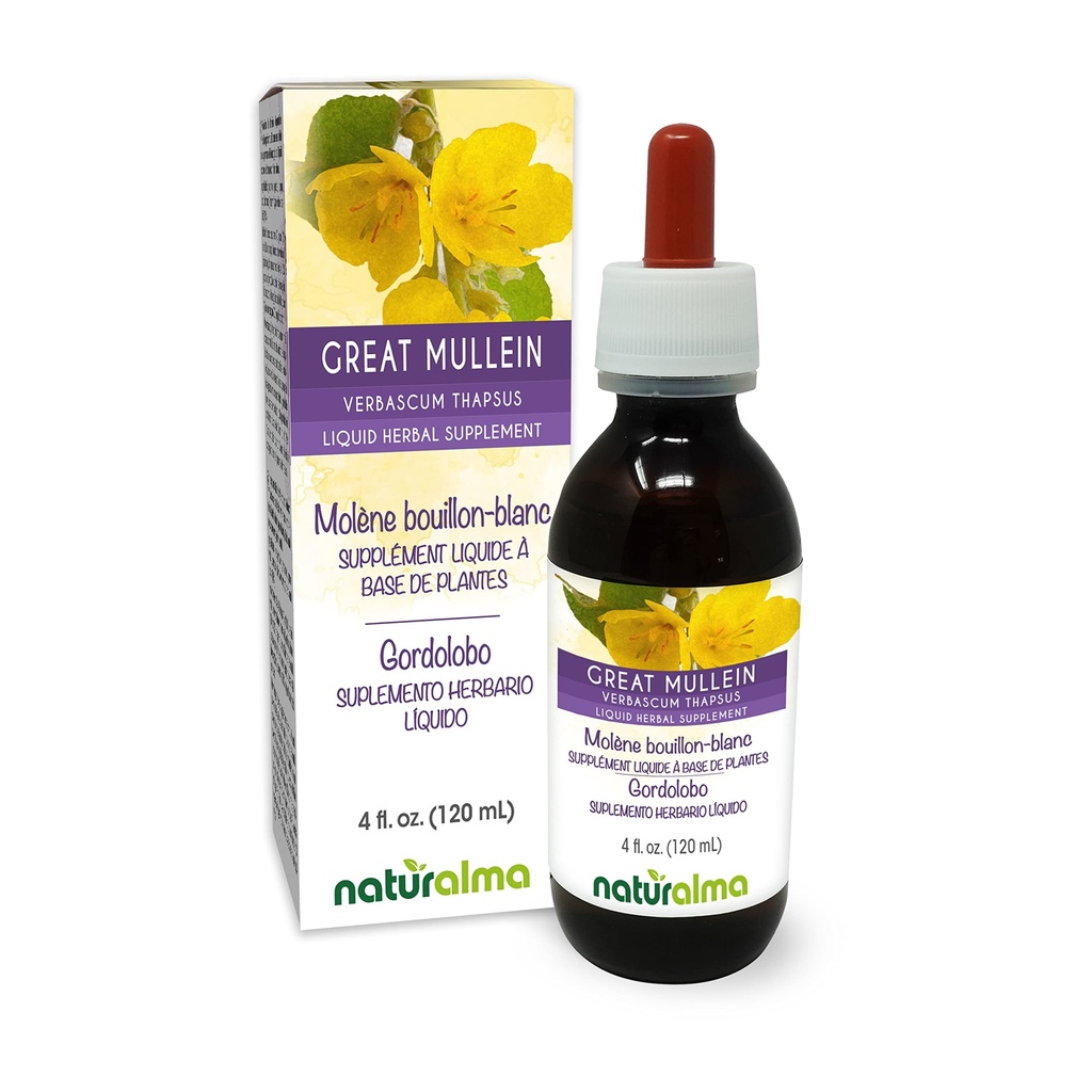 Naturalma Great Mullein of Common Mullein (Verbascum thapsus) Bloem en blad Alcoholvrije Tinctuur - 4 fl oz Liquid Extract in druppels - Kruidensupplement - Veganistisch