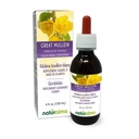 Naturalma Great Mullein of Common Mullein (Verbascum thapsus) Bloem en blad Alcoholvrije Tinctuur - 4 fl oz Liquid Extract in druppels - Kruidensupplement - Veganistisch