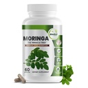 Pure Moringa Oleifera Green Superfood Capsules met Vitamine C, Omega 3 & Aminozuren - Boosts Energy, Mood, Memory, Immune Support - Made from Organic Moringa, Non-GMO - 60 Capsules (1 fles)