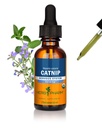 Herb Pharm Certified Organic Catnip Liquid Extract for Calming Zenuwstelsel Ondersteuning, 1 Fl Oz