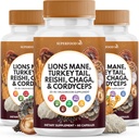 Leeuwen Mane paddo supplement met Turkije staart Reishi Cordyceps Chaga met Marshmallow Root - 180 Tellen