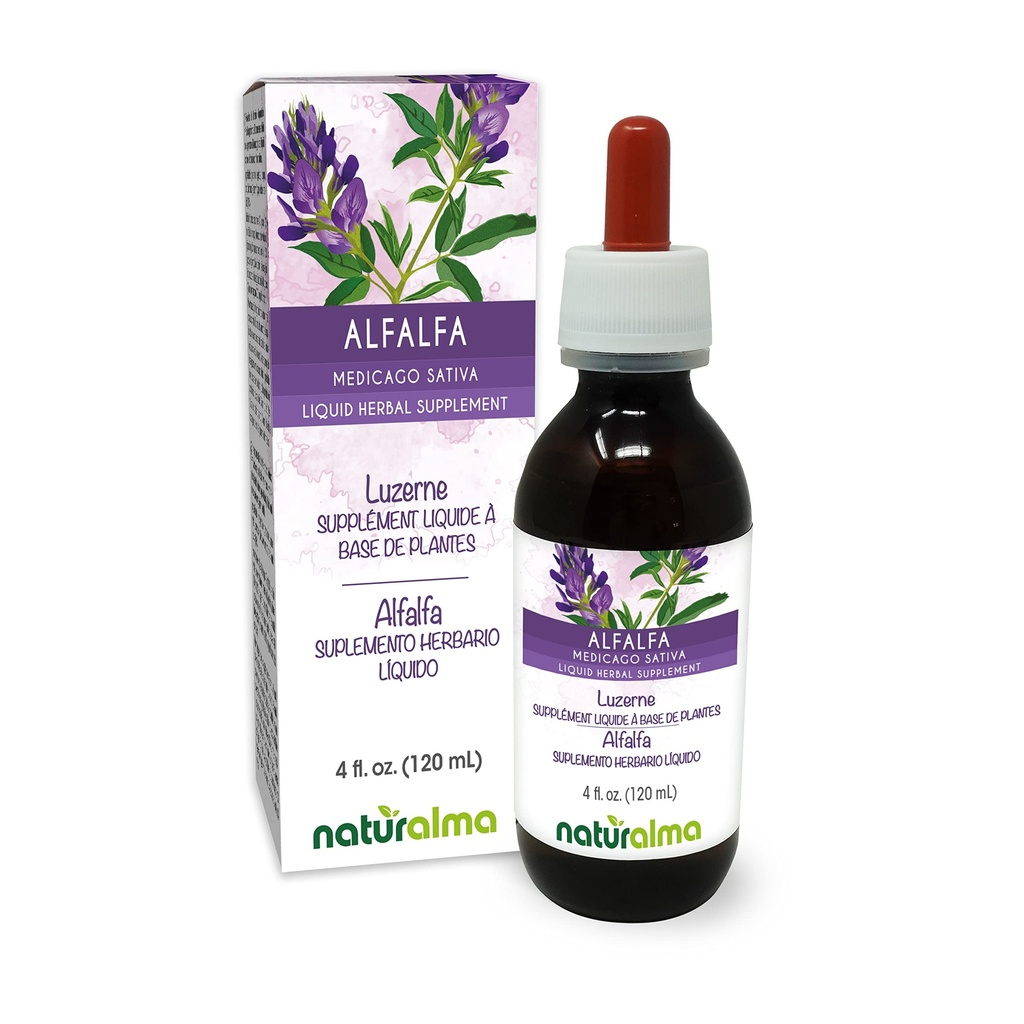 Naturalma Alfalfa of Lucerne (Medicago Sativa) kruid met bloemen Alcoholvrije Tinctuur - Rijk aan natuurlijke Chlorofyl - 4 fl oz Liquid Extract in druppels - Kruidensupplement - Veganistisch