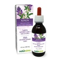 Naturalma Alfalfa of Lucerne (Medicago Sativa) kruid met bloemen Alcoholvrije Tinctuur - Rijk aan natuurlijke Chlorofyl - 4 fl oz Liquid Extract in druppels - Kruidensupplement - Veganistisch
