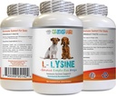 Hond Aminozuur Supplementen - Honden LYSINE Powder - Pure Powder Form - Immuun Systeem Ondersteuning - Vet Aanbevolen - lysine Honden - 1 Fles (8oz 226,8 Gram)